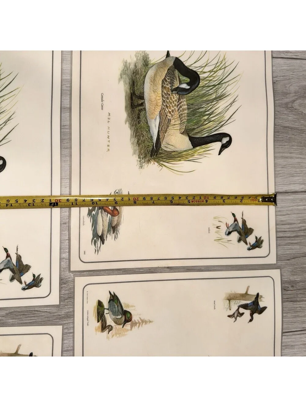 4 Vintage Mel Hunter Canada Geese Wildlife Placemats Duck Hunting Cabin 11x17